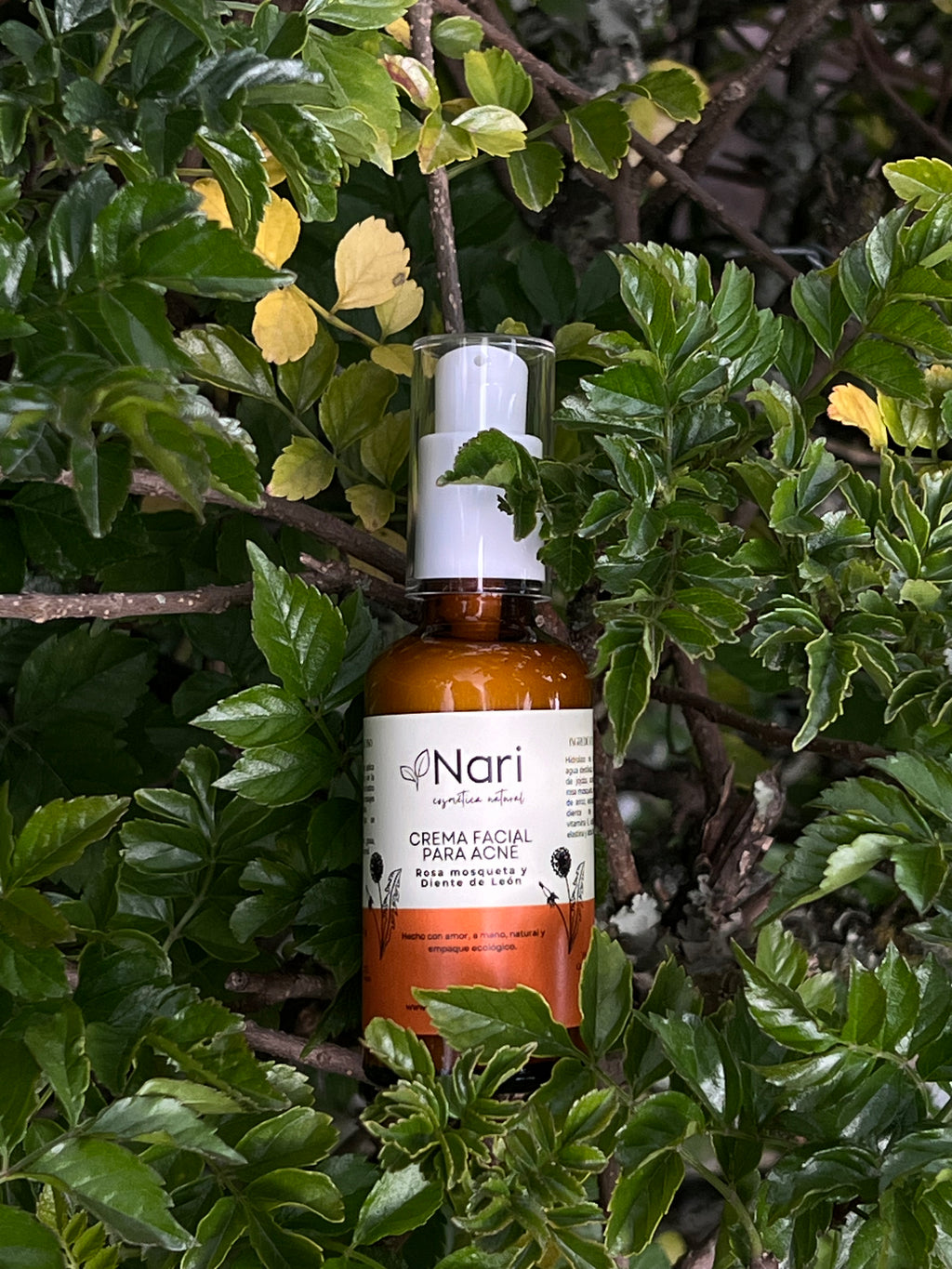 Crema para el Acné de rosa mosqueta y diente de león